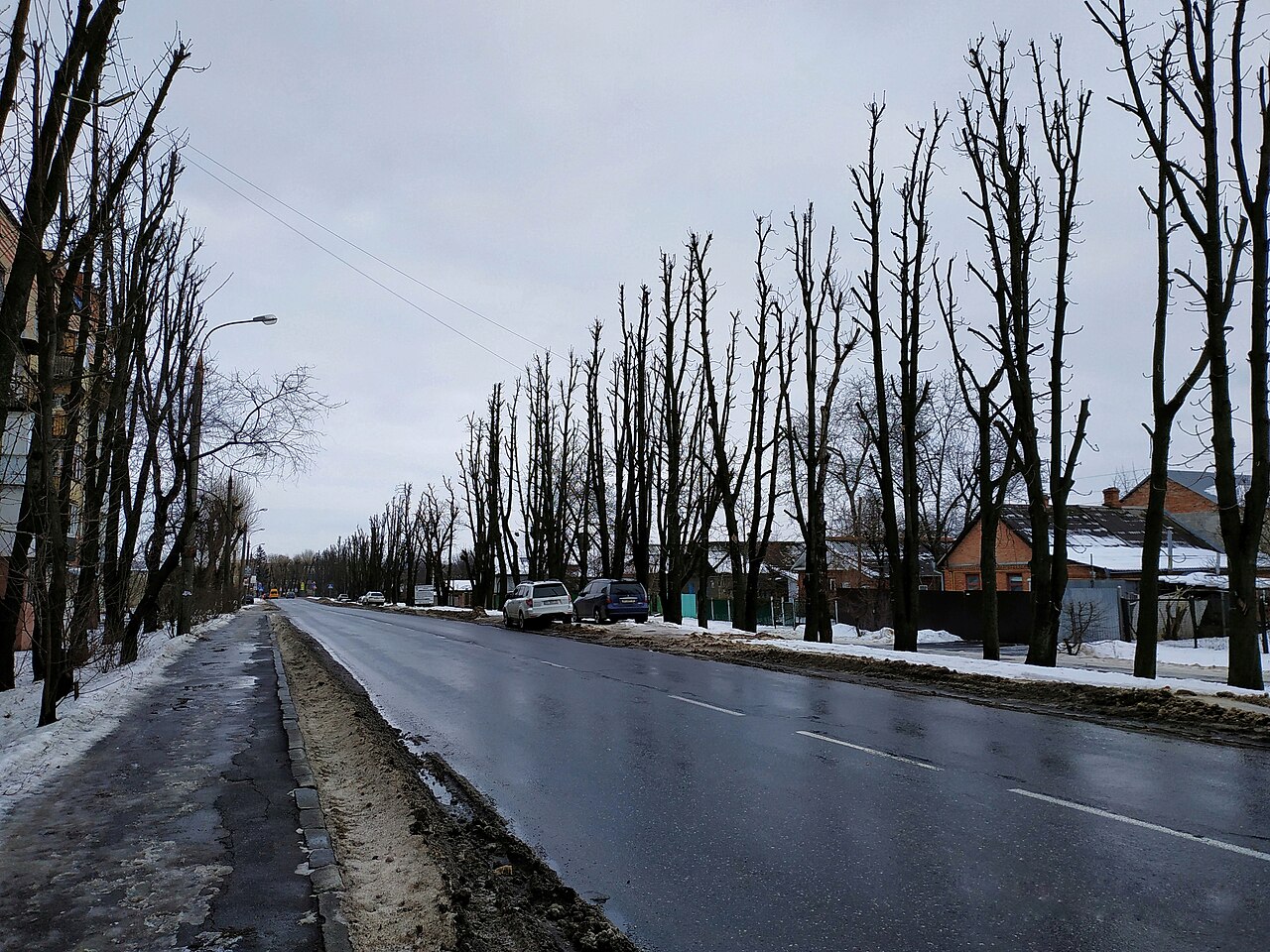 Вулиця Сковороди. Фото: Bogdan csgo, CC BY-SA 4.0, Wikimedia Commons